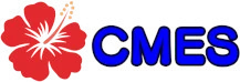 Instant form site logo